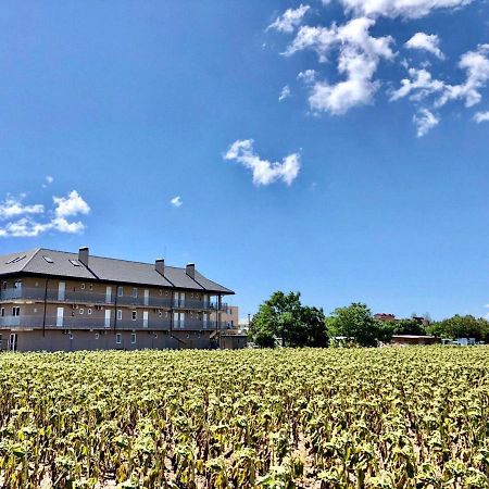 Family Hotel Грибовка Екстериор снимка
